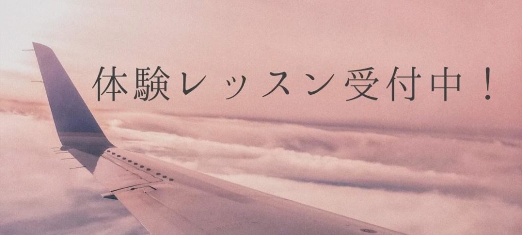 体験レッスン (CA就活)