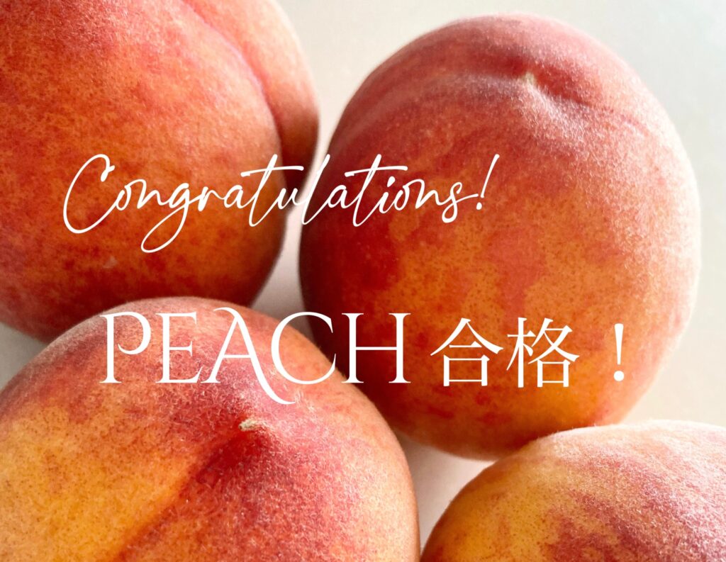 【合格体験記】Peach2022年